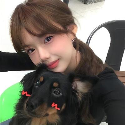 识骨寻踪第四季